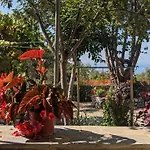 4 Seasons 2 Neokhorion (Messenia)
