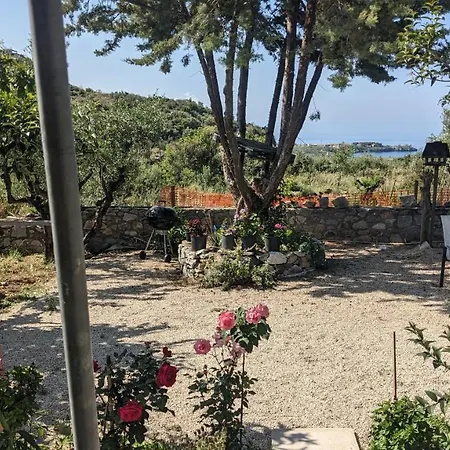 4 Seasons 2 Neokhorion (Messenia)