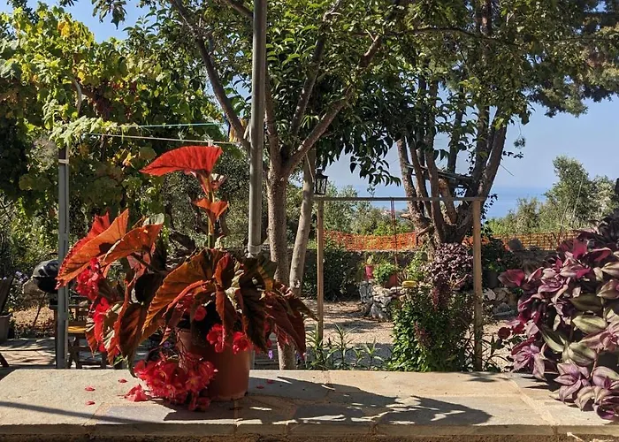 4 Seasons 2 Neokhorion (Messenia)